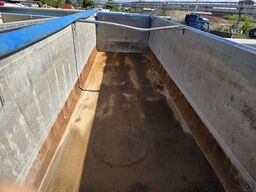 Elcima Elcima Elcima