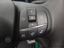 FORD Transit 350L3H2 TRAIL LKW 4x4 Stndhzg BiXenon