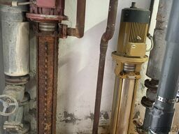 LOOS-6000kg/h-16Bar