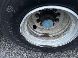 LAG O-3-23 L / BLATT/SPRING / LAMMES