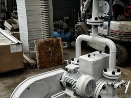 Abel Emmerich Feluwa Diverse