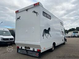 MERCEDES-BENZ Atego 823 *4.Pferde*Pferdetransporter