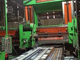 WALDRICH COBURG FS3030