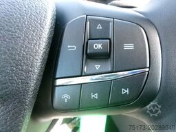 FORD Transit 350L4 Trend Heckantr. Koffer LWB Kam ACC