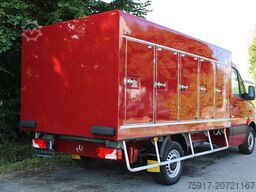 MERCEDES-BENZ Sprinter 310 Cold Car -33°C ATP 05/28