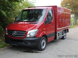 MERCEDES-BENZ Sprinter 310  Cold Car -33°C ATP 02/28