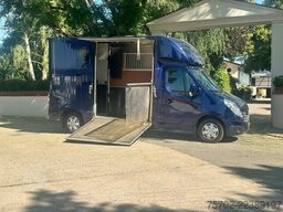 Renault Master Roelofsen 1-2 Pferde Hengsttrennung