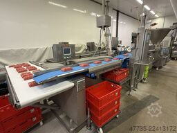 VEMAG MULTIVAC 