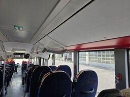 MERCEDES-BENZ Citaro 530 LE, 50+15+1