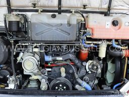 Iveco Evadys 13m / Rear door / NEW!!