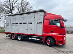 MAN TGX 26.440 6x2/4 Menke Livestock Veewagen Gross...