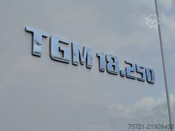 M.A.N. 18.250 TGM