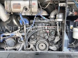 Van Hool EX15 H / TX15 Acron / 12.5m /