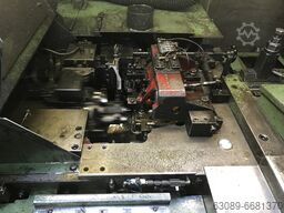 CARLO SALVI 246 / TR