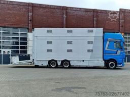 DAF XF 510 6x2 SuperSpaceCab - Livestock Cuppers 3 ...