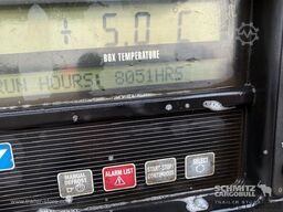 Schmitz Cargobull Tiefkühler Standard