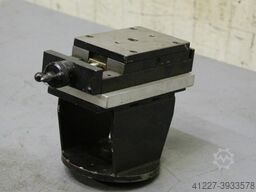 Unbekannt mit Schwalbenschwanz