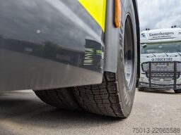 FORD F-MAX 500 in Voll-Ausstattung, Kipphydr. MIETEN?