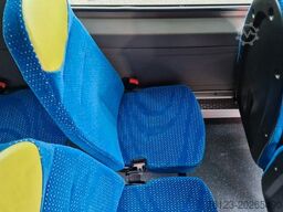 MERCEDES-BENZ Sprinter 516 / 22 Sitzer, Crafter Daily Ducato