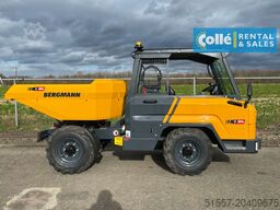 Bergmann C804e