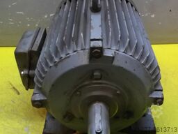 Wölfer D132S-2