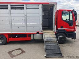 Iveco Eurocargo 150.320 - Finkl Livestock box - Autom...