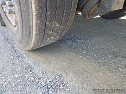 WIELTON 50 cbm Getreidemulde, Pendelklappe,Kornschieber