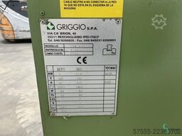 Griggio 