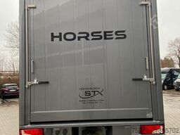 MERCEDES-BENZ Actros 2651 STX  Pop-Out,  5 Pferde