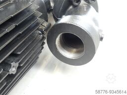 Brinkmann Pumps SBG1102 - V-Z+095 Pumpe No. ! -