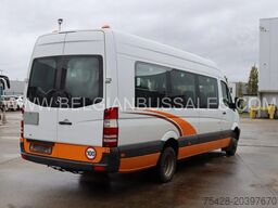 Mercedes Sprinter Transfer 45/Basic 45