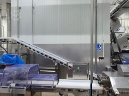 Dohmeyer DOH-SPK-D244-W26-E21-LIN-2017