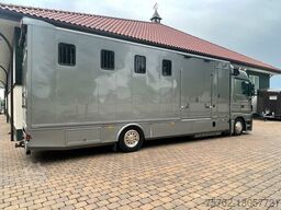 Mercedes-Benz Actros 1841 Megaspace 8-9 Pferde