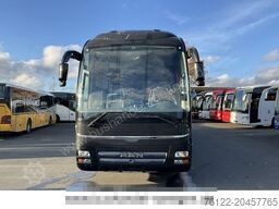 MAN R 08 Lion?s Coach/VIP/Heckküche/Mikrowelle/Ofen