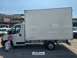 FIAT DUCATO 2.3MJT  2019 CELLA 3,60 ATP 2028