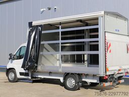 OPEL Movano Schiebeplane 420x220x220 LBW