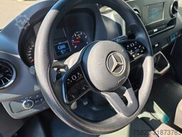 MERCEDES-BENZ Sprinter 516 / Frigo / Thermo King Cool/Wenig Km
