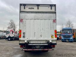 Renault Midlum 220 THERMO KING TS-300, CHERAU, MANUAL, ...