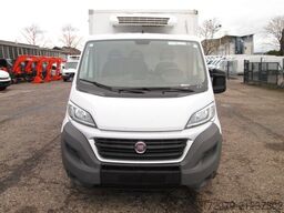 FIAT Ducato 130*2x Thermo-KingTiefkühler*Euro6*