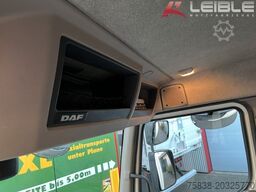 DAF LF210 *LBW-Palfinger 1,5t*Kamera*Klima