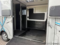 RENAULT Master STX 3 Sitzer  Haras / Hengste