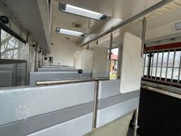 SCANIA Pferdetransporter