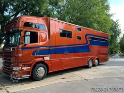 SCANIA Pferdetransporter