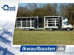 IVECO Daily  Speditionszug mit Anhänger Planenaufbau