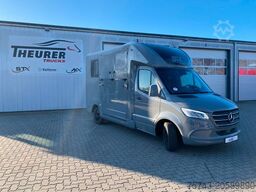 MERCEDES-BENZ STX Sprinter  3.500KG  Haras Hengste