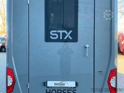 MERCEDES-BENZ STX Sprinter  3.500KG  Haras Hengste