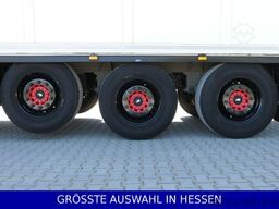 SCHMITZ CARGOBULL Blumenbreite Liftachse Palettenkasten ¤559mtl.