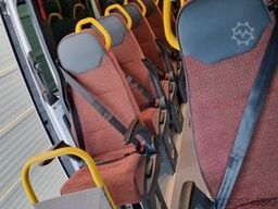 MERCEDES-BENZ Sprinter Lord Light 22 Sitzer 3 x Lagerfahrzeug