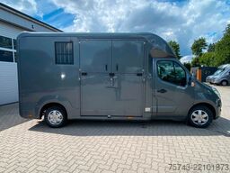 RENAULT Master STX 3 Sitzer  Automatik Haras / Hengste