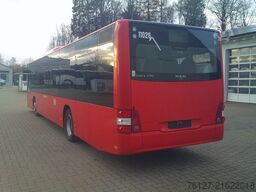 MAN 20 Stück  A 20, EURO 5, KLIMA,  ID.-Nr.: 1851